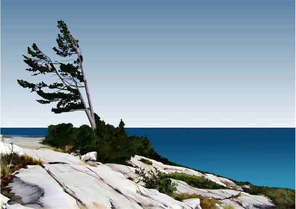 On Georgian Bay Series D