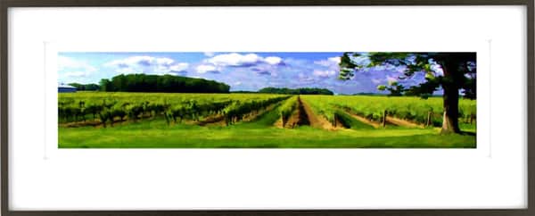 Niagara Vineyard Series R