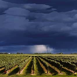 Summer-Storm-Over-Vineyards