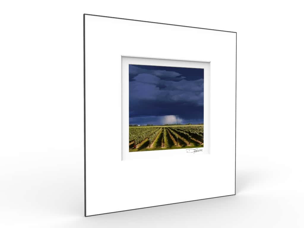 Summer Storm Over Vineyards